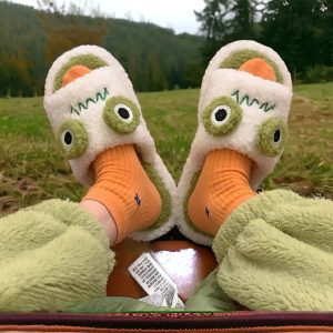 Funny Slippers Frog, Animal Slides (2)-PhotoRoom(1)