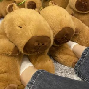 Cozy Capybara Slippers - Perfect Gift for Halloween, Christmas, Valentine